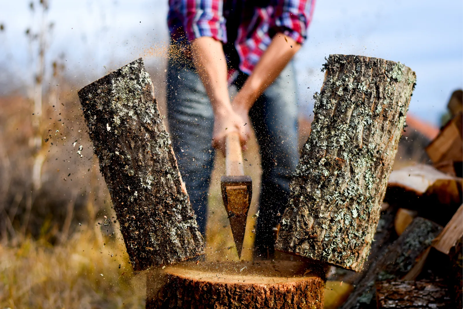 WordPress archive image for Splitting and Gratitude